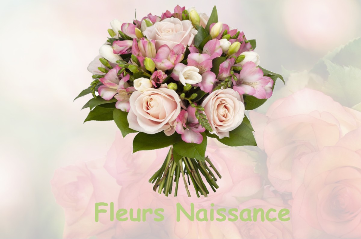fleurs naissance MONTREAL-LA-CLUSE