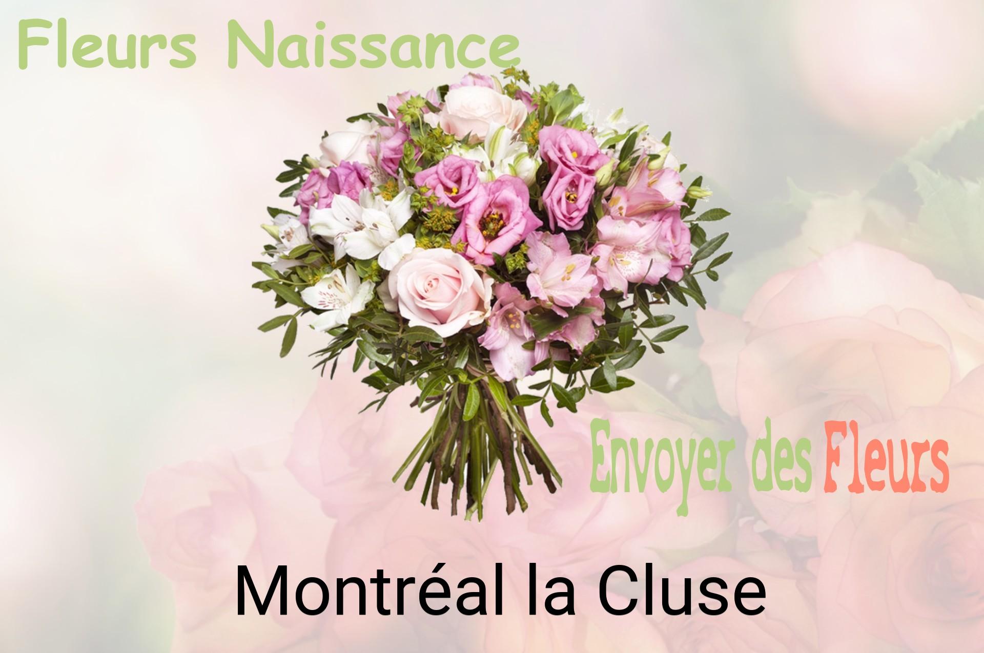 Bouquet de fleurs de naissance livré à Montréal-la-Cluse