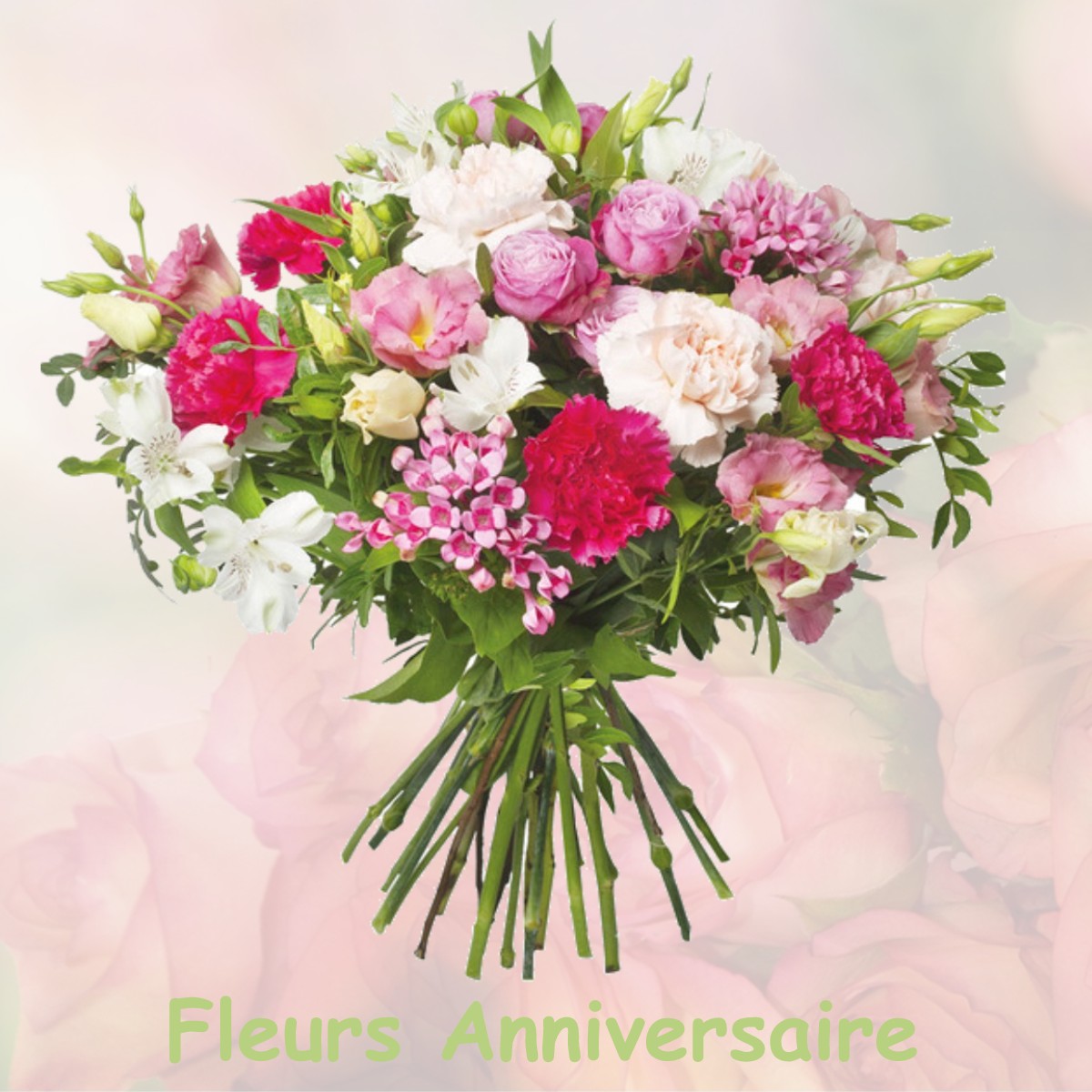 fleurs anniversaire MONTREAL-LA-CLUSE
