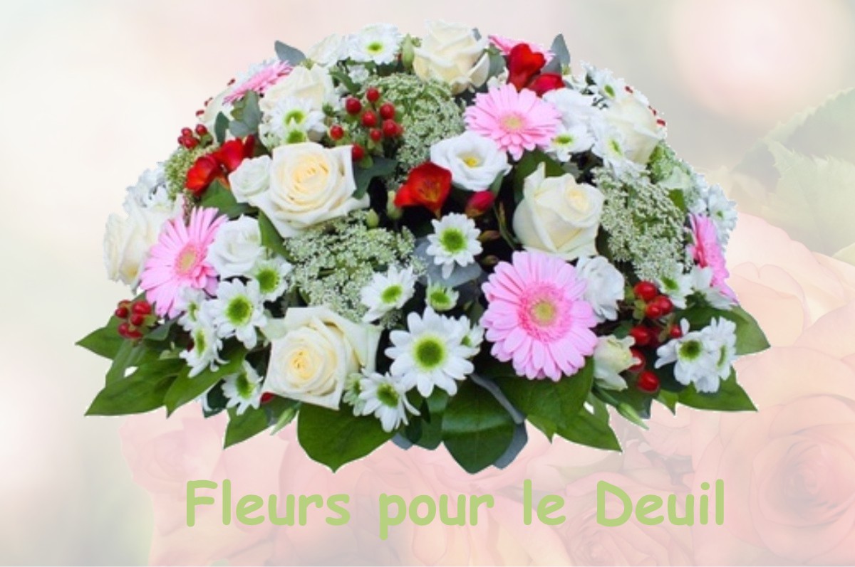 fleurs deuil MONTREAL-LA-CLUSE